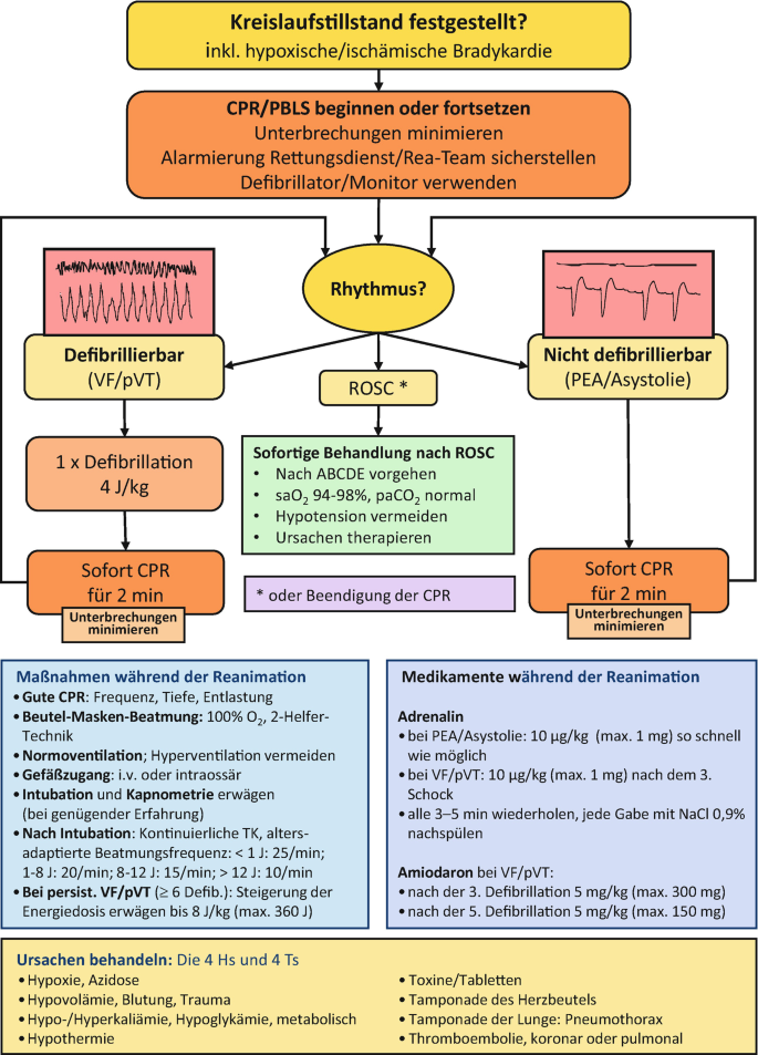 Kardiopulmonale Reanimation (CPR) | Springer Nature Link