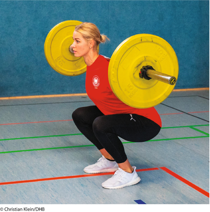 Lampe De Table USB-C Rechargeable Nuindie - 380mm Vert Sapin - LED Dimmable, IP54 - SIGOR