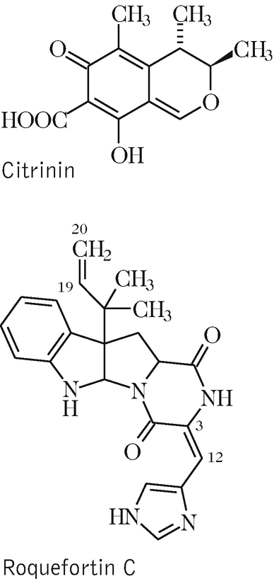 P | Springer Nature Link
