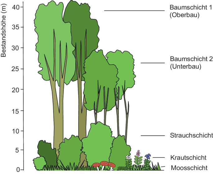 pfennigpfeiffer blumenkasten SkyGarden main image 1