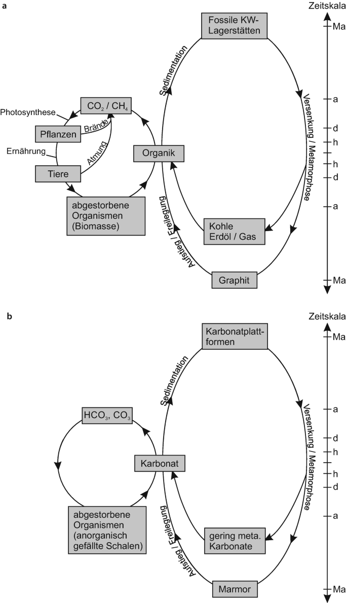 3. Materialität und Nachhaltigkeit – Buffl, image size:685x1190