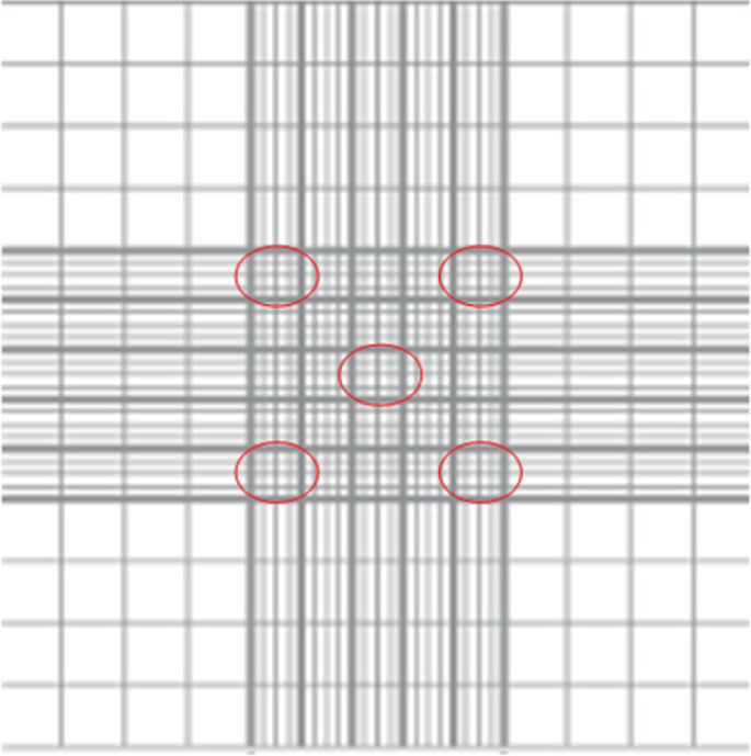 A Neubauer chamber grid contains 4 circles at the corners of the intersection region and a circle at the center.