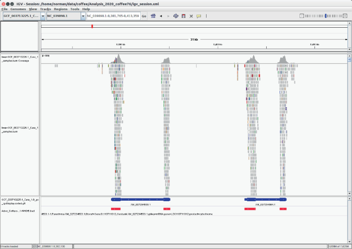 A screenshot of the Integrative Genomics Viewer window demonstrates the genomic region composed of bars of different colors.