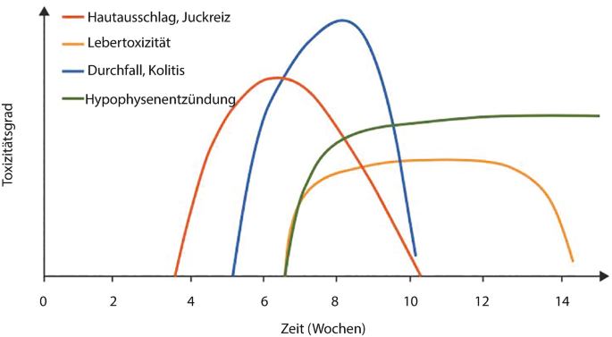 kaktus sukkulent Opuntia rubescens Kaktus 25–30 cm – Feigenkaktus Ohrenkaktus winterhart  Sukkulente Zimmerpflanze main image 0
