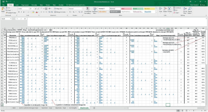 A screenshot of an Excel sheet. It presents the tracking of the observation of Striga growth in the agar plates with sorghum germination. It also highlights the hyperlink to the whole plate image file and individual attachment image file.