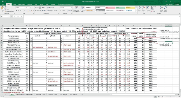 A screenshot of an Excel sheet. It presents the data on the conditioning of Striga seed batch germination, along with the sorghum seedling fitness.