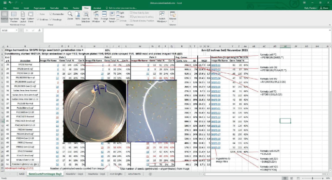 A screenshot of an Excel sheet along with 2 photos. The photos feature the seed germination. The data presents the germination rate of the Striga seed batch embedded in agar and the sorghum-plated germination.