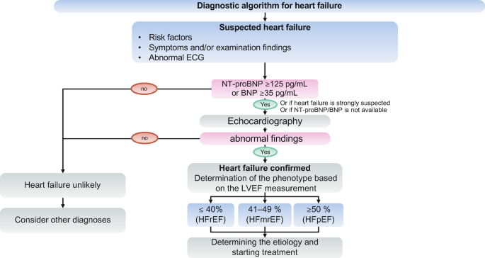 Chf Lab Values Chronic Heart Failure | Springer Nature Link (formerly SpringerLink)