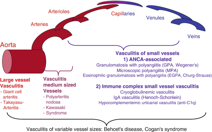 Cardiac Involvement in Rheumatic Diseases | Springer Nature Link