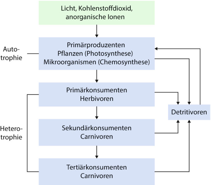 Von paarweisen Wechselbeziehungen zu kosystemen | Springer Nature Link