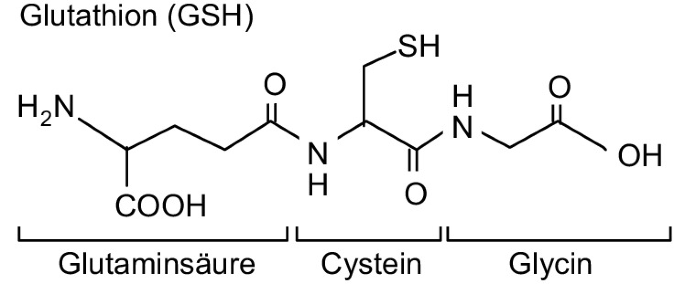 Aminosäuren, Peptide, Proteine