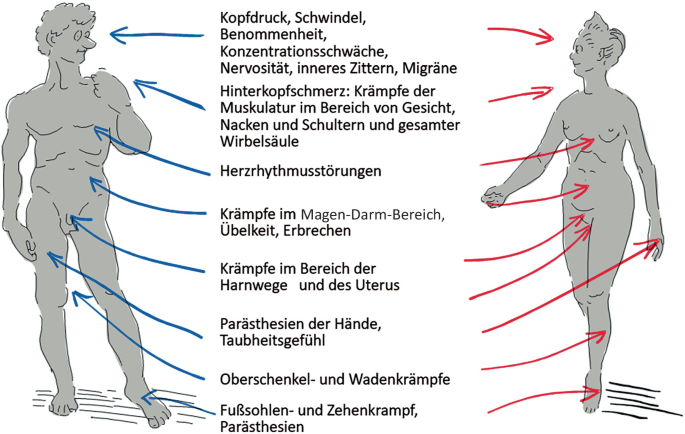 Magnesium – allgemeine Bedeutung und Regulation | SpringerLink