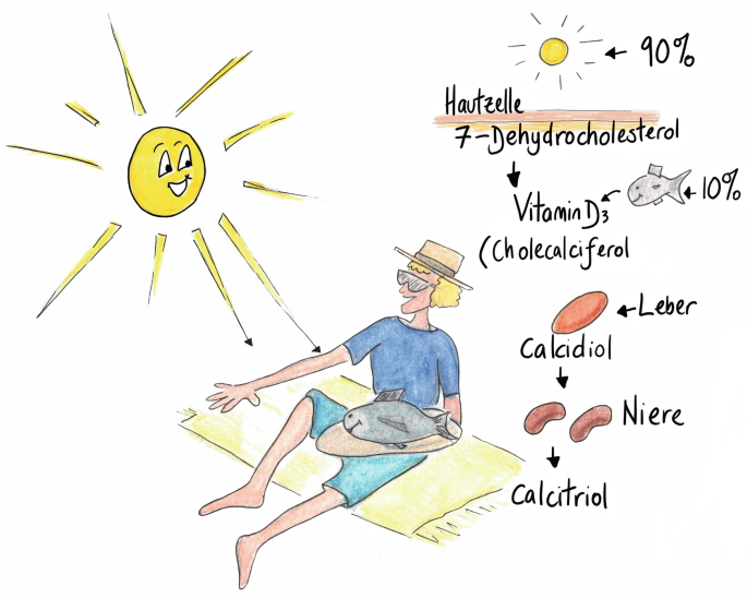 Wunderschone Sonne Vitamin B12 Ebenbild