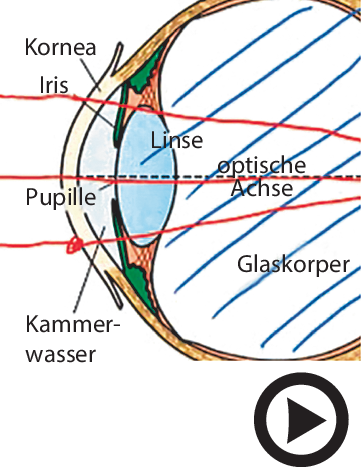 Optik | SpringerLink