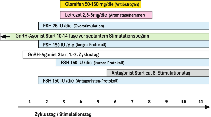 pflanztopf zum hngen balkon Rost Deko Garten Pflanztopf zum Hngen