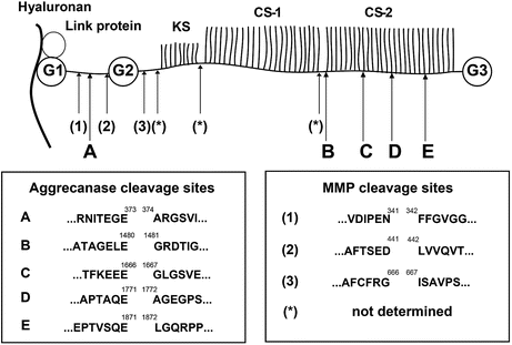 figure 00133