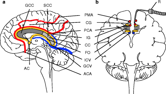 figure 00071