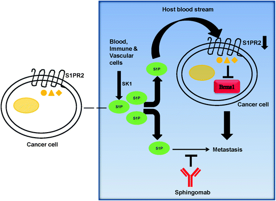 figure 00014