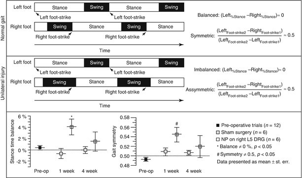 Intervertebral Disc Herniation: Pathophysiology and Emerging