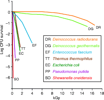 Accumulation of Mn(II) in Deinococcus radiodurans Facilitates