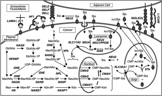 figure 2_8