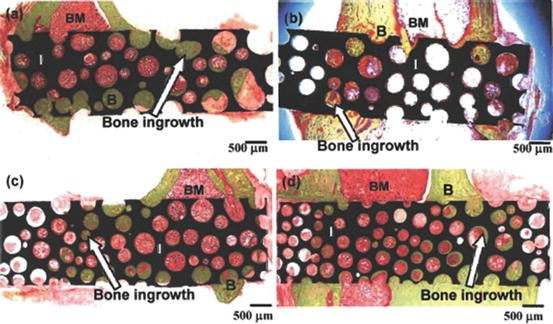 figure 29