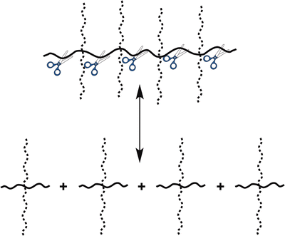 scheme 20