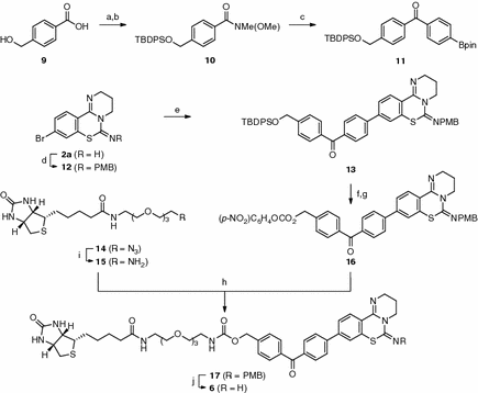 scheme 1