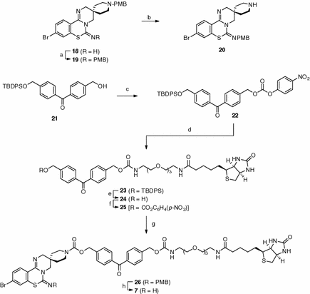 scheme 2