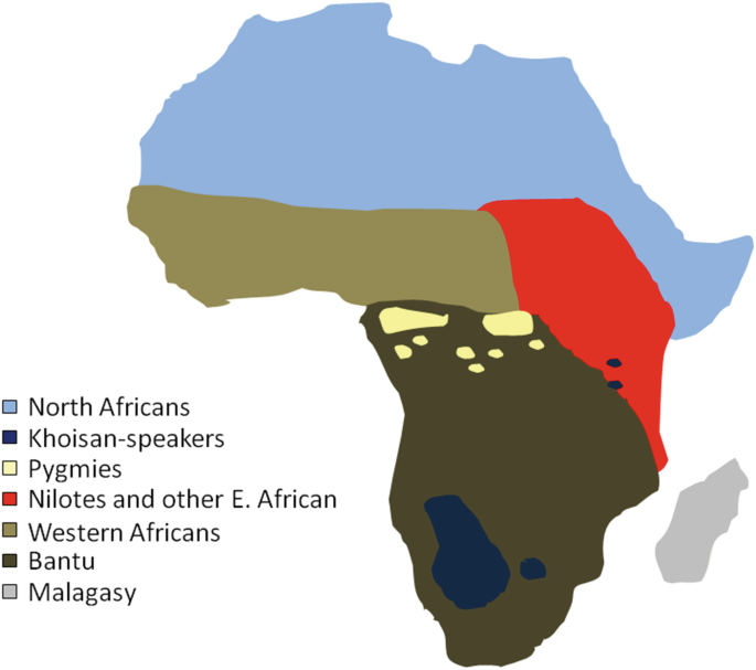 PDF) Whole genomes from Angola and Mozambique inform about the origins and  dispersals of major African migrations