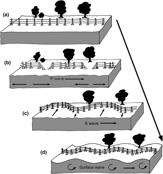 Schematic view of body waves and surface waves at the ground surface.