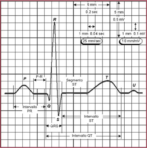 L'elettrocardiogramma normale | SpringerLink