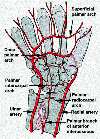 figure 35