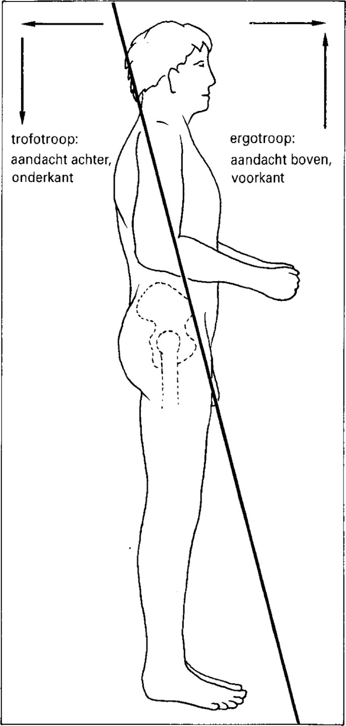 Knoopsgaten borduren en V9 tutorial! Geen stress meer bij lastige hoekjes.  » BERNINA Blog, image size:685x1435