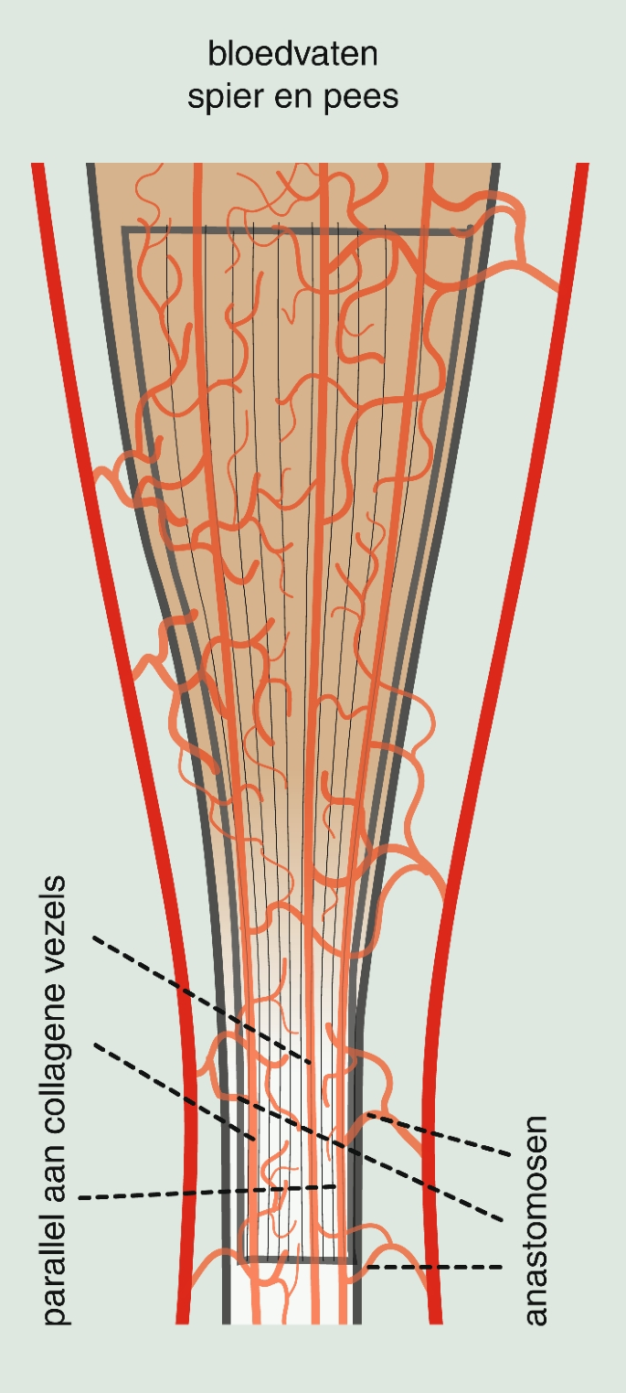Inleiding | Springer Nature Link (formerly SpringerLink), image size:685x1523