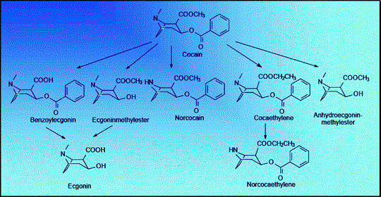 figure 33