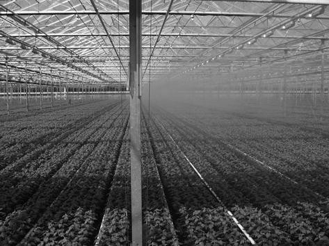 figure 6_a_149007_1_En