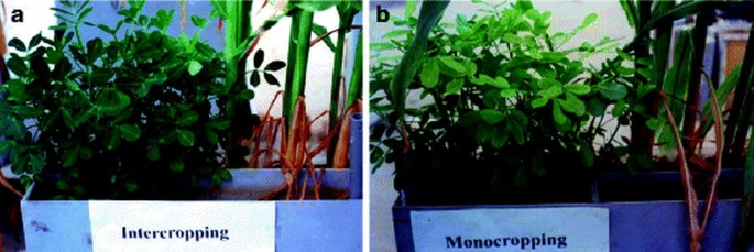 figure 2_35