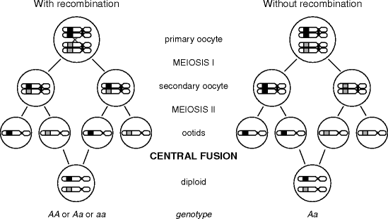 figure 4_3_148857_1_En