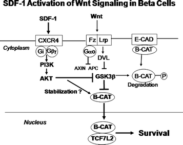 figure 17_4_190153_1_En