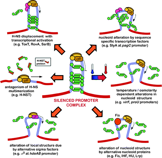 figure 5_13