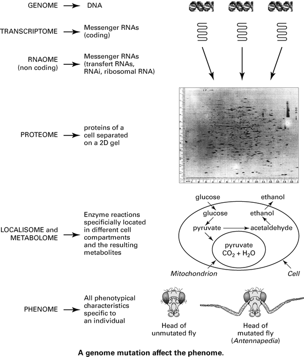 figure 19