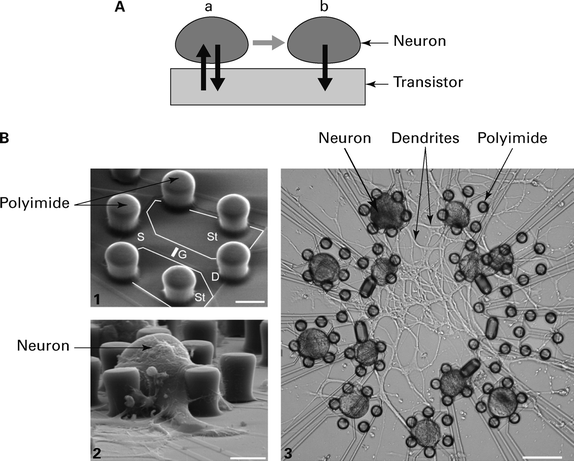 figure 21