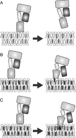 figure 20_5_193999_1_En