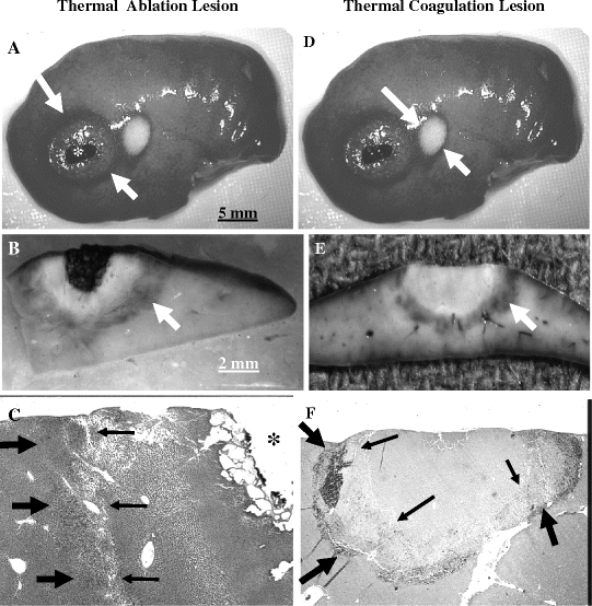 figure 13_2_100508_2_En