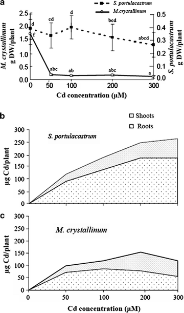 figure 2_8