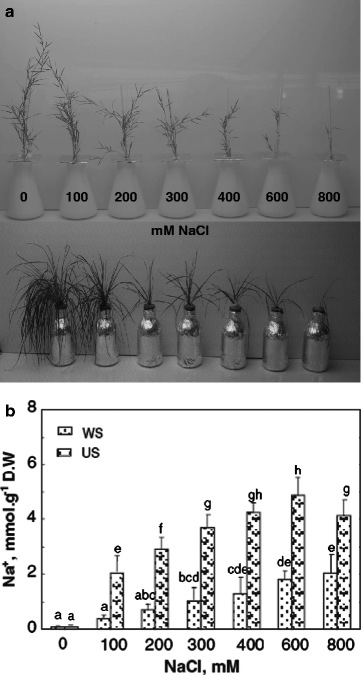 figure 3_8