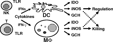 figure 27_4_212344_1_En