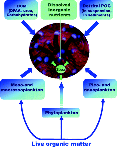 figure 1_15