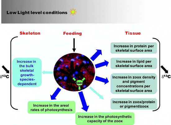 figure 2_15